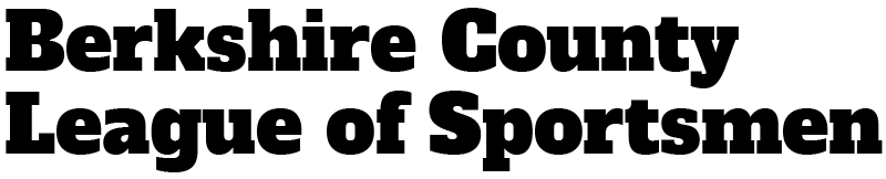 BerkCountyLeague